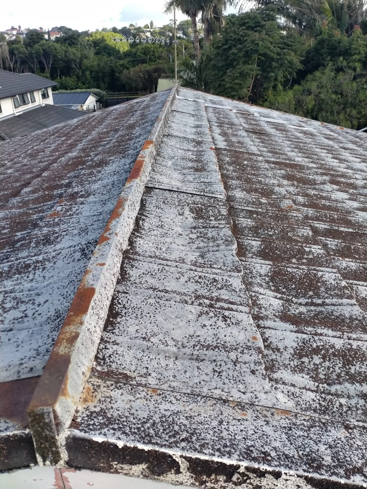Before — full roof — Ellerslie decramastic roof asbestos removal