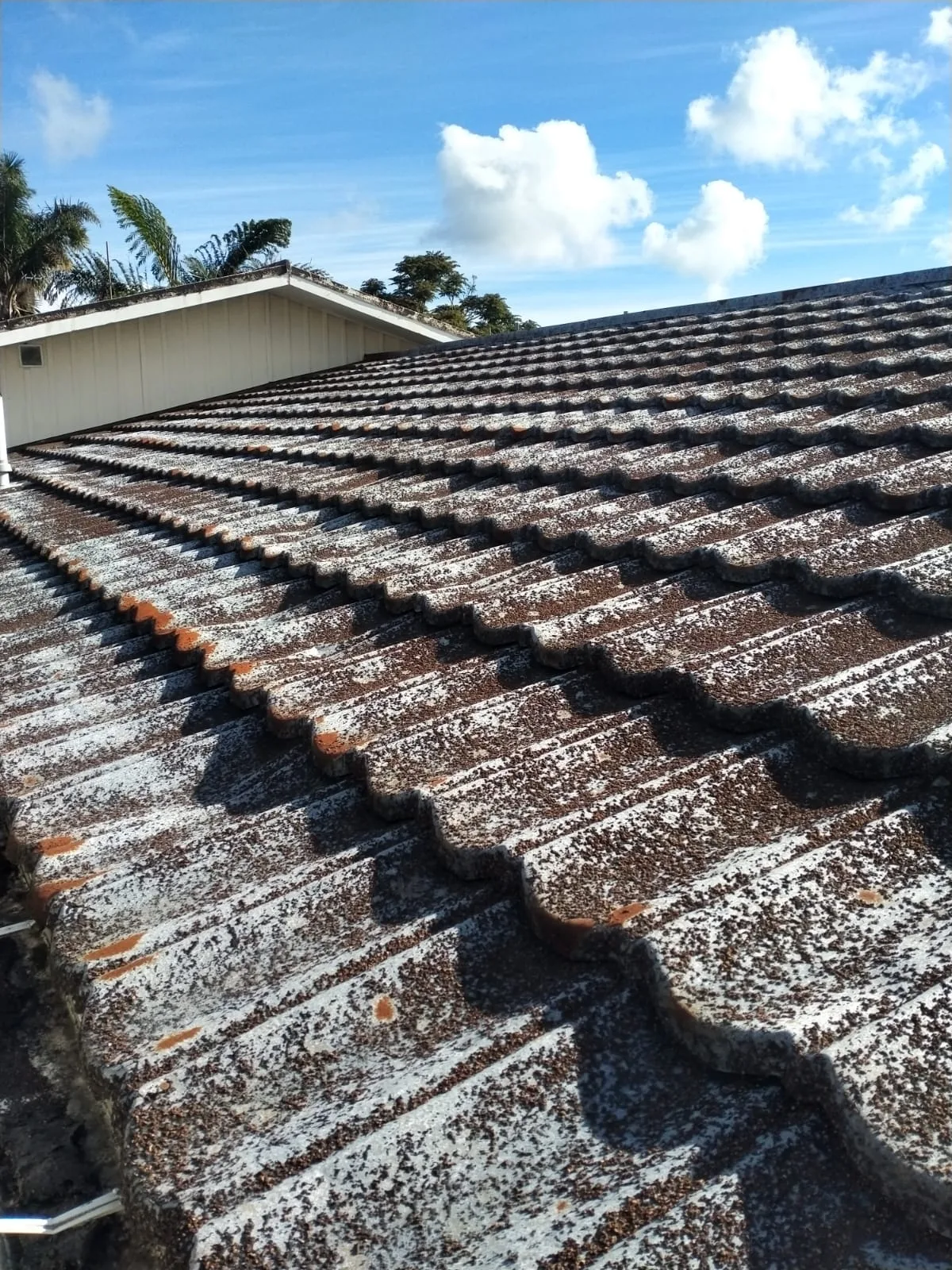 Before — decramastic tile detail — Ellerslie decramastic roof asbestos removal